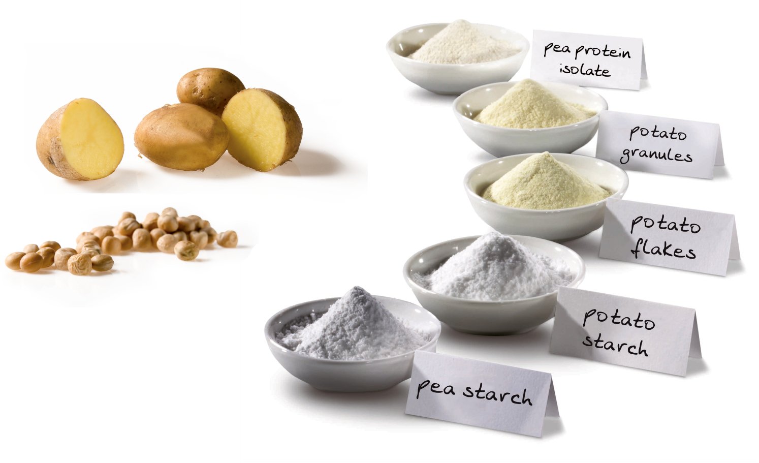 Potato Flakes EmslandStärke GmbH